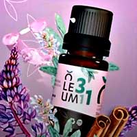 velas venta por mayor importador